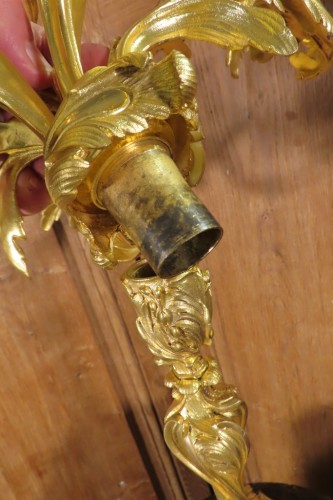 XIXe siècle - Paire de candélabres Rocaille en bronze doré - Epoque Napoléon III