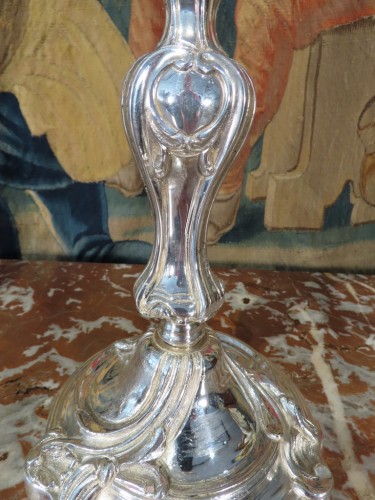 Luminaires Bougeoirs et Chandeliers - Paire de Candélabres en bronze argenté fin 19e