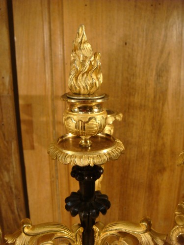 Antiquités - Paire de candélabres en bronze brun et bronze doré époque Charles X