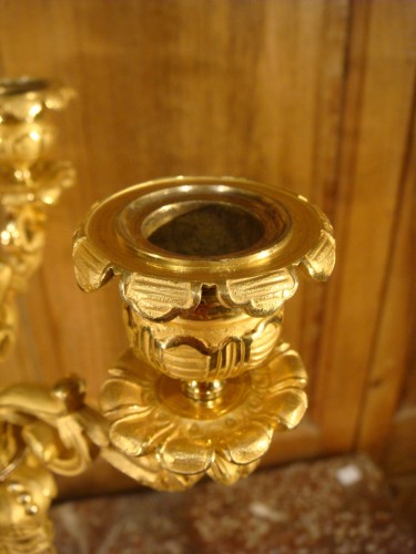 Antiquités - Paire de candélabres en bronze brun et bronze doré époque Charles X