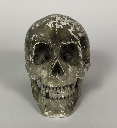 Skull White Pipe Clay - Curiosities Style 