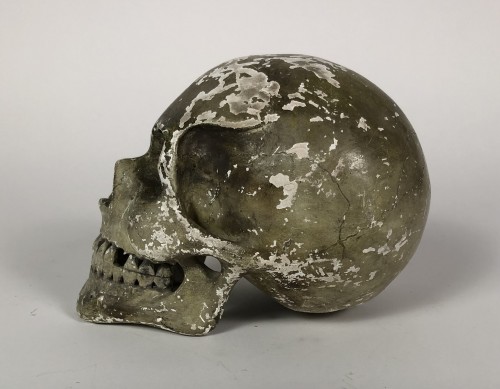 Curiosities  - Skull White Pipe Clay