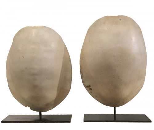 Two fossilized tortoise shells on stands