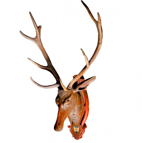 Carved WoodDeer Head - 1!18th century  Swiss Alps