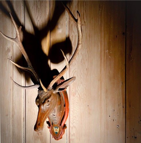 Tête de  de cerf en bois sculpté -  Alpes Suisse XVIIIe siècle - Objets de Curiosité Style Transition