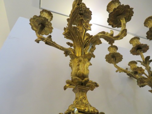 Antiquités - Pair of Candelabra golden Bronze and Black Boulle marquetry in Napoléon III