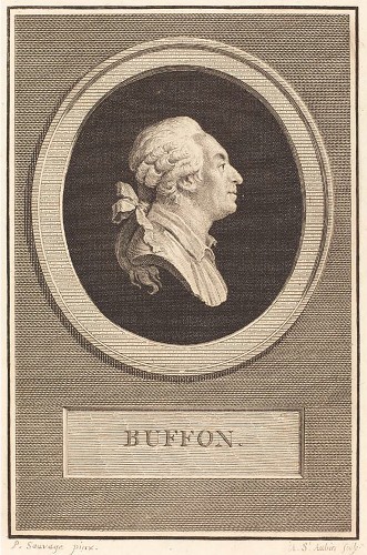 Piat-Joseph Sauvage (1744-1818) - Buffon&#039;s portrait at 65 years old - Paintings & Drawings Style Louis XVI