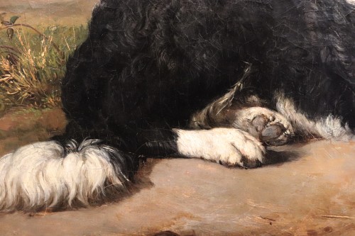 XIXe siècle - Jacques Raymond BRASCASSAT (1804-1867) - Portrait du chien de l'artiste