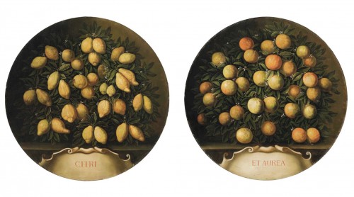 Belle paire de natures mortes «citrons et oranges », d’après Bartolomeo Bimbi