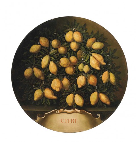 Belle paire de natures mortes «citrons et oranges », d’après Bartolomeo Bimbi - Tableaux et dessins Style Art nouveau