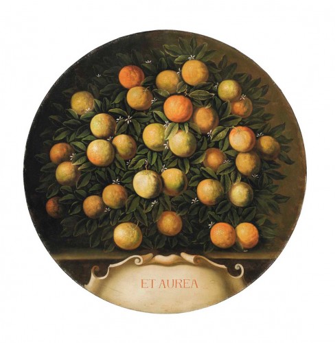 Tableaux et dessins  - Belle paire de natures mortes «citrons et oranges », d’après Bartolomeo Bimbi