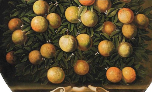 Belle paire de natures mortes «citrons et oranges », d’après Bartolomeo Bimbi - Franck Baptiste Provence