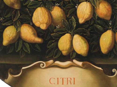 XIXe siècle - Belle paire de natures mortes «citrons et oranges », d’après Bartolomeo Bimbi