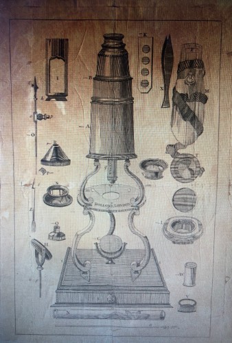 Antiquités - Microscope en bronze doré, Dollond à Londres vers 1770