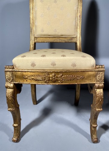 XIXe siècle - Paire de chaises pour la Duchesse de Berry à Rosny, vers 1820