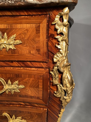 Commode in kingwood, Louis XV period by Jacques Dubois - Furniture Style Louis XV