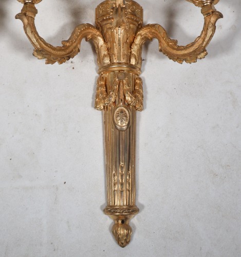 Antiquités - Paire d'appliques en bronze doré époque Louis XVI