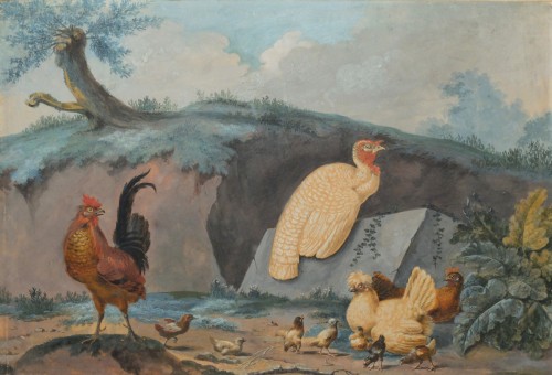 Oiseaux de basse-cour - Ecole hollandaise du 18e siècle de l'entourage d'Aert Schouman (1710-1792). 