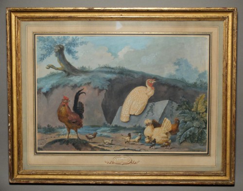 Oiseaux de basse-cour - Ecole hollandaise du 18e siècle - Tableaux et dessins Style Louis XV