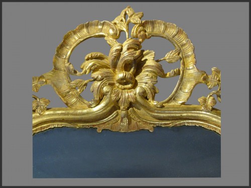 Provence Giltwood Mirror - Mirrors, Trumeau Style Louis XV