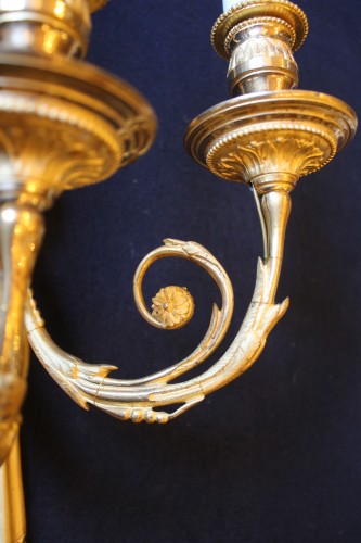 Antiquités - Paire d'appliques en bronze doré et amati, époque Restauration