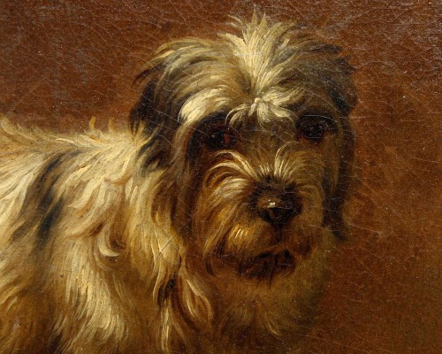 Francesco Londonio (1723 – 1783) - Portrait of a Small Dog - Paintings & Drawings Style 