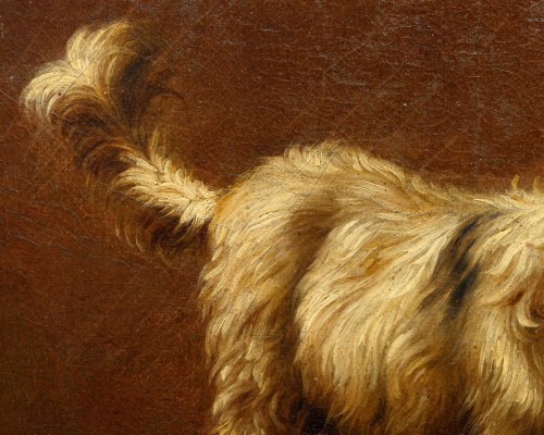 Paintings & Drawings  - Francesco Londonio (1723 – 1783) - Portrait of a Small Dog