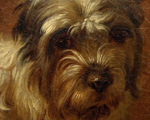 Francesco Londonio (1723 – 1783) - Portrait of a Small Dog - 