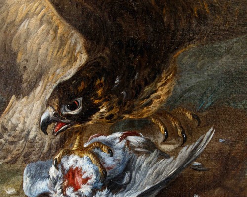 18th century - Baldassarre de Caro (1689–1750), Raptor Capturing a Pigeon