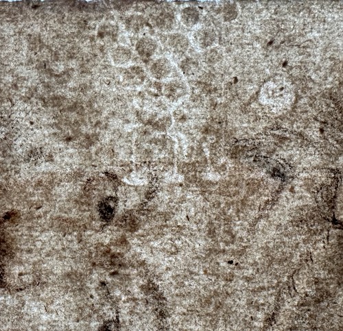 Tableaux et dessins Dessin, Aquarelle & Pastel - Portrait de Charles IX, roi de France, France fin du XVIe début du XVIIe siècle suiveur de François Clouet