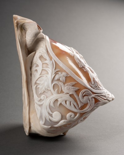 XIXe siècle - Le taureau Farnese, coquillage sculpté en camée - Giovanni Sabbato