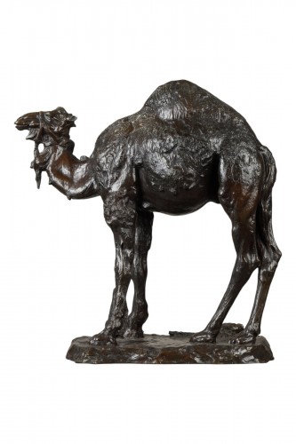 Le Dromadaire, Albéric Collin (1886-1962)