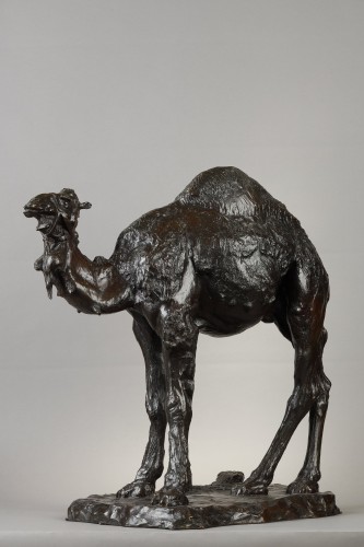 Le Dromadaire, Albéric Collin (1886-1962) - Artimo