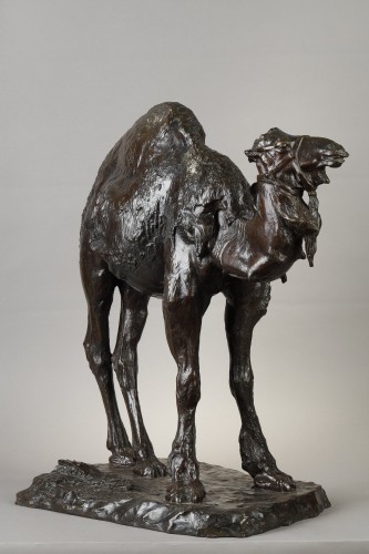 XXe siècle - Le Dromadaire, Albéric Collin (1886-1962)