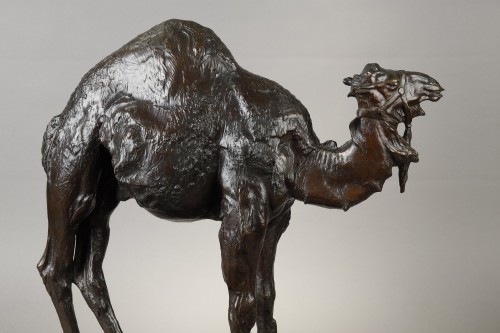 Antiquités - Le Dromadaire, Albéric Collin (1886-1962)
