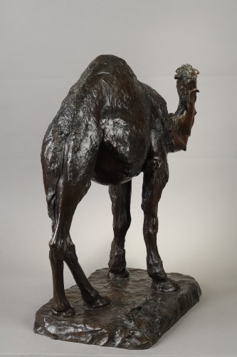 Antiquités - Le Dromadaire, Albéric Collin (1886-1962)