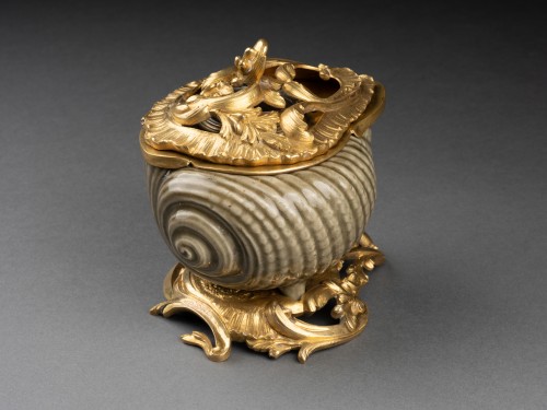 Celadon sandstone conch mounted as an inkwell, Paris, Louis XV period - Decorative Objects Style Louis XV