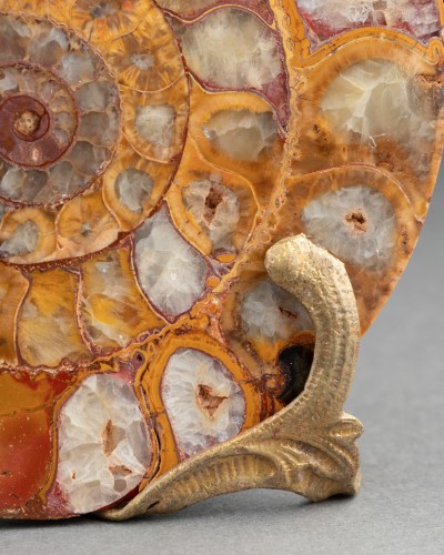 Paire d’ammonites fossiles montées bronze vers 1820-1840 - Objets de Curiosité Style Restauration - Charles X