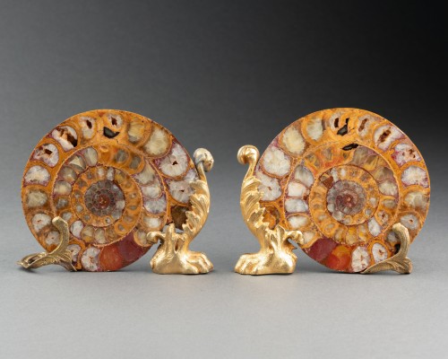 Paire d’ammonites fossiles montées bronze vers 1820-1840 - Franck Baptiste Paris
