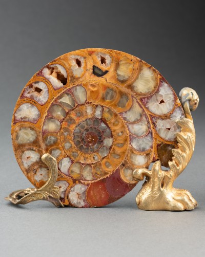XIXe siècle - Paire d’ammonites fossiles montées bronze vers 1820-1840