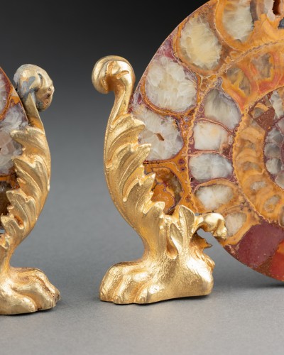 Paire d’ammonites fossiles montées bronze vers 1820-1840 - Restauration - Charles X