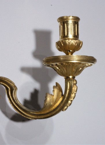 18th century - Pair of wall sconces with lion muzzles, Paris circa 1775