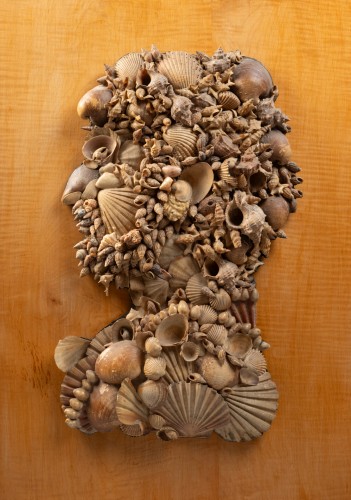 Tableaux coquillages - Bellechasse 29 galerie