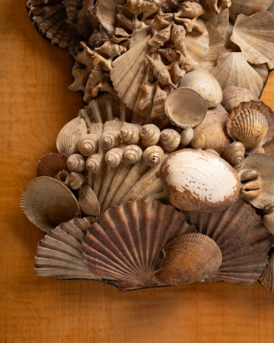 Antiquités - Tableaux coquillages