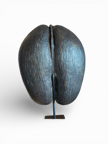 Objets de Curiosité  - Coco de Mer des Îles des Seychelles, monté sur socle – 20e siècle