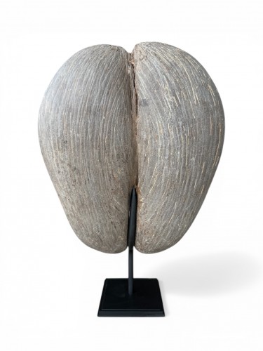 Coco de Mer from the Seychelles Islands, mounted on a stand – 20th century - 