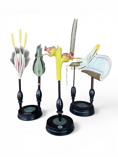 Ensemble de 3 modèles botaniques par Robert Brendel - circa 1900