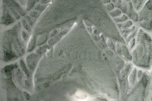 XXe siècle - 1912 René Lalique - Vase Fougères