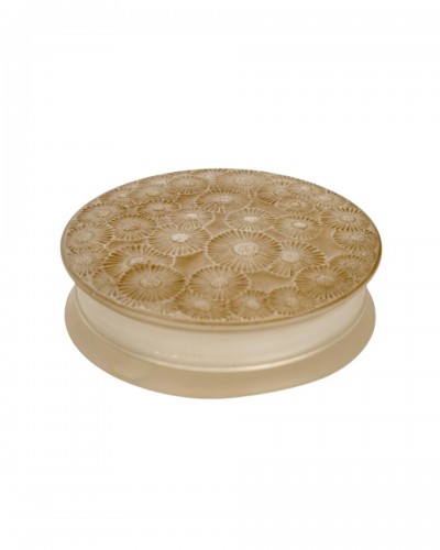 1920 René Lalique - Box Marguerites