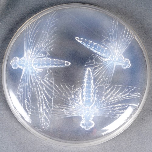 1921 René Lalique - Box Libellules Dragonflies - Glass & Crystal Style Art Déco